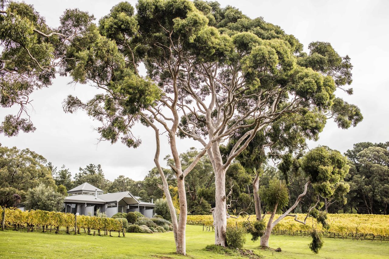 Polperro Villas Red Hill Εξωτερικό φωτογραφία